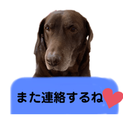 [LINEスタンプ] ニック＆コマ＆てんてん