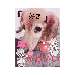 [LINEスタンプ] アハハハ！、！
