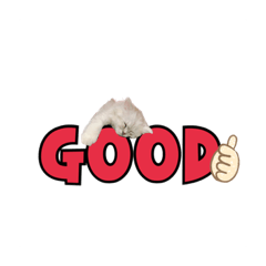[LINEスタンプ] マンチカンのねねちゃん