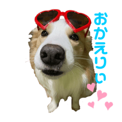 [LINEスタンプ] SUBARUだらけっ
