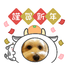 [LINEスタンプ] 2021華年賀