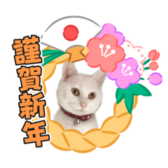 [LINEスタンプ] 蘭丸ちゃん！