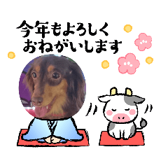 [LINEスタンプ] ★kokoa★
