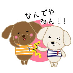 [LINEスタンプ] トイプードルのぴっちゃん・ゆっちゃん2