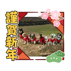 [LINEスタンプ] ジジババビビニコルウの第10弾