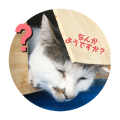 [LINEスタンプ] 一言どうぞ？