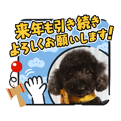 [LINEスタンプ] ナナちゃんず2