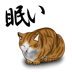 [LINEスタンプ] 茶トラ白猫 眠たい日常