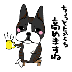 [LINEスタンプ] 割と丁寧なボストン・テリア