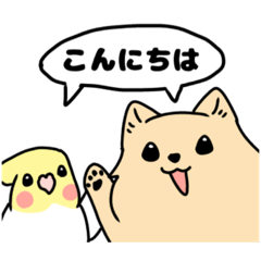 [LINEスタンプ] コロンとシロのスタンプ