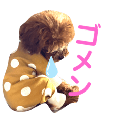 [LINEスタンプ] サンステコハク3