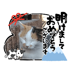 [LINEスタンプ] 新年に使うであろう野良猫スタンプ