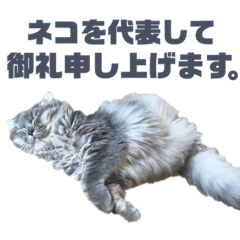 [LINEスタンプ] 1歳になったミミ