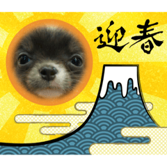 [LINEスタンプ] KOKINⓒ2