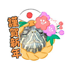 [LINEスタンプ] ミドリガメのきっちゃん  part6