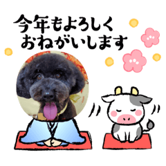 [LINEスタンプ] オレオです♪