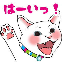 [LINEスタンプ] 白猫ノビアさん イラストバージョン第一弾