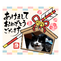 [LINEスタンプ] Happy New Yearち