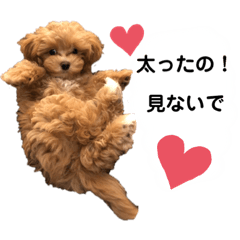 [LINEスタンプ] 使えるivyとお友達