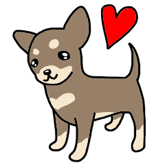 [LINEスタンプ] 犬種別チワワ(チョコタン・スムース英語)