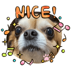 [LINEスタンプ] うちのてつです