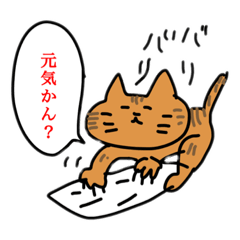 [LINEスタンプ] 三河出身ねこだにぃ。