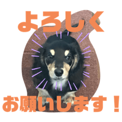 [LINEスタンプ] ルーカスのスタンプだよ！