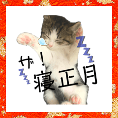 [LINEスタンプ] 子猫のふうたと兄弟3＆新年Ver.