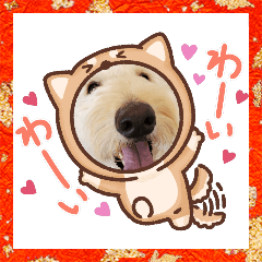 [LINEスタンプ] GoldenDoodleお年賀用スタンプの画像（メイン）