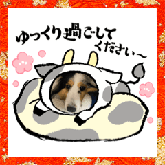 [LINEスタンプ] シェルティ HappyNEWyear2021