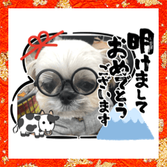 [LINEスタンプ] モコモコたんお正月