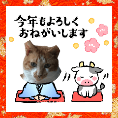 [LINEスタンプ] 猫たちのお正月