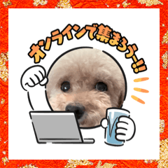 [LINEスタンプ] 茶々のお正月
