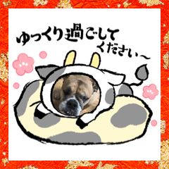 [LINEスタンプ] ブルドッグ蘭ちゃんと仲間
