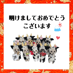 [LINEスタンプ] 年末年始も羊毛ワンコとニャンコ