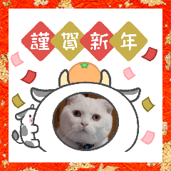 [LINEスタンプ] ダンディーのお正月