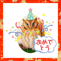 [LINEスタンプ] フクロウ のふくすけ