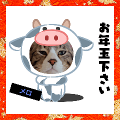 [LINEスタンプ] メロ＆ネロお正月