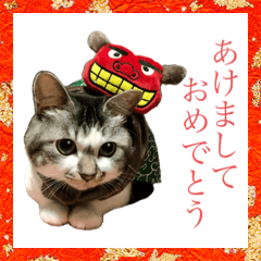 [LINEスタンプ] 芽衣ちゃん お正月