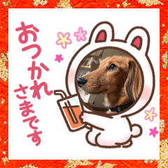 [LINEスタンプ] いぬのあいさつ！！