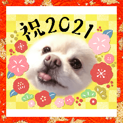 [LINEスタンプ] PEACE2021