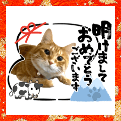 [LINEスタンプ] Ginger Tabby Cat 年末年始2021