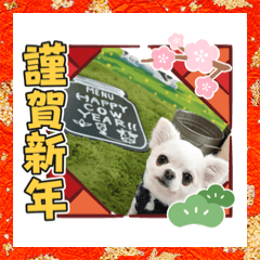 [LINEスタンプ] リトルと年末年始
