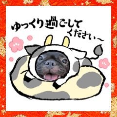 [LINEスタンプ] 風丸くんと風夏ちゃんの色んなスタンプ
