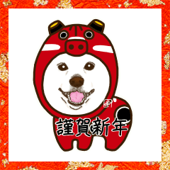 [LINEスタンプ] 新年用白柴犬スタンプ（イラスト）