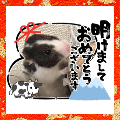[LINEスタンプ] ハムスターとわたし