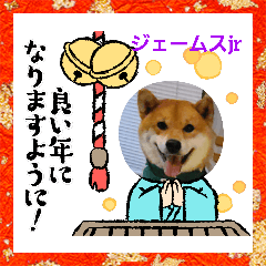 [LINEスタンプ] 柴犬ジェームスjr 7