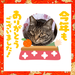 [LINEスタンプ] 2021ドンノブボム