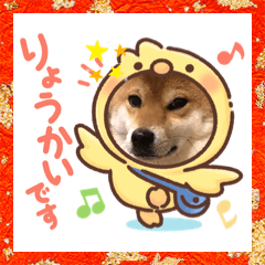 [LINEスタンプ] 柴犬小麦ちゃん！