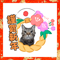 [LINEスタンプ] 年末年始ねこねこスタンプ
